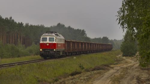 Stary Raduszec, 2011.08.19